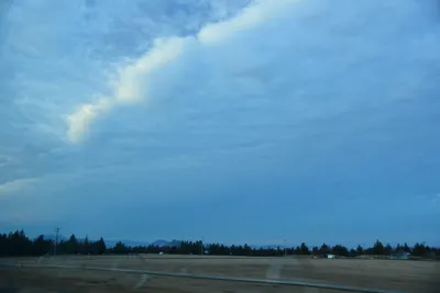 DSC_3119 (Large).JPG